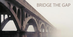 Bridge the Gap Transcript - Week 4