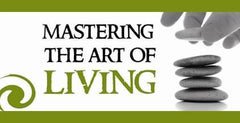 Mastering the Art of Living, Vol. 1 Graphics
